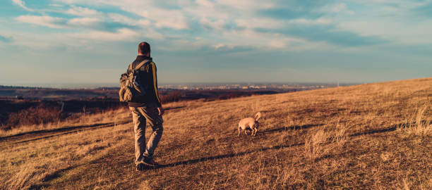 istock Man and dog hiking together 1314886485