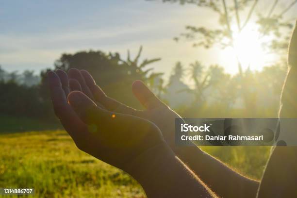 Both Hands Looked Up In Prayer Stock Photo - Download Image Now - Praying, Morning, Adult