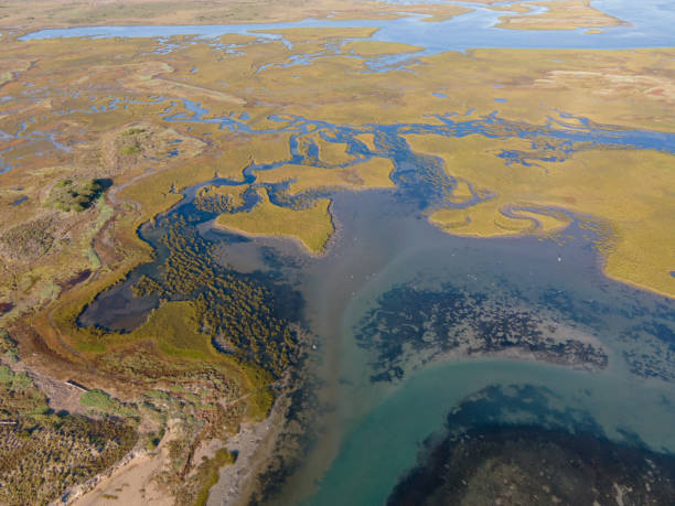 istock Aerial view of estuary seen from drone 1314893693