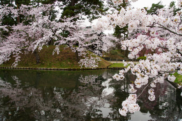 istock Hirosaki Park 1314900386
