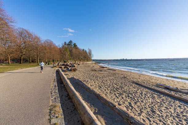 Second Beach, Stanley Park Seawall in sunny day. Second Beach, Stanley Park Seawall in sunny day. Vancouver, BC, Canada. west vancouver stock pictures, royalty-free photos & images