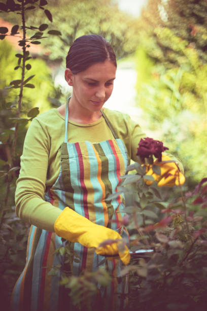 istock Woman gardening in back yard. 1314904776