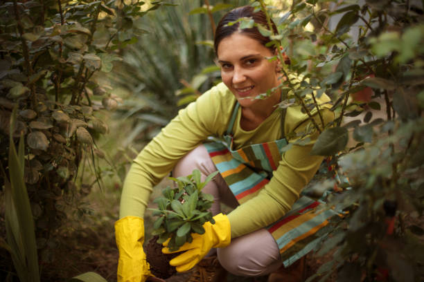 istock Woman working in the garden. 1314905337