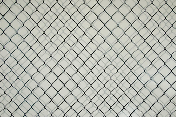 Decorative wire mesh of fence isolated on white background