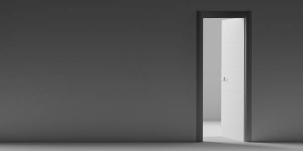 istock New opportunity concept, open door. 1314908424