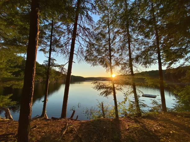 istock Morning by the lake. 1314909397