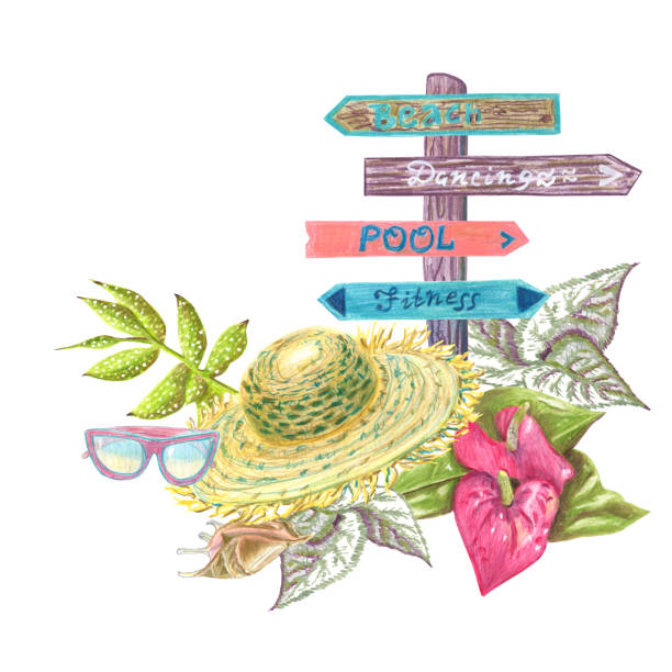 ilustraciones, imágenes clip art, dibujos animados e iconos de stock de composición de artículos de vacaciones en la playa. boceto dibujado a mano de diferentes elementos en técnica de lápiz de colores - sepia toned rose pink flower