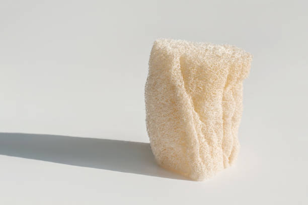 istock Loofah natural sponge on the white background. 1314912791