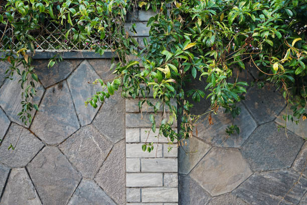 Exterior architecture and building design