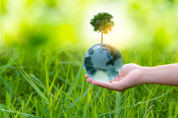 istock 3D illustration Renewable energy concept Earth Day or environmental protection Protect the forests that grow on the ground and help save the planet. 1314913916