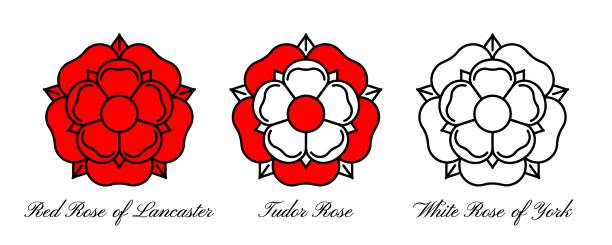 Tudoe rose of Englnd vector illustration. Tudor rose vector isolated icon. Traditional heraldic emblem of England. The war of roses of houses Lancaster and York. lancaster lancashire stock illustrations