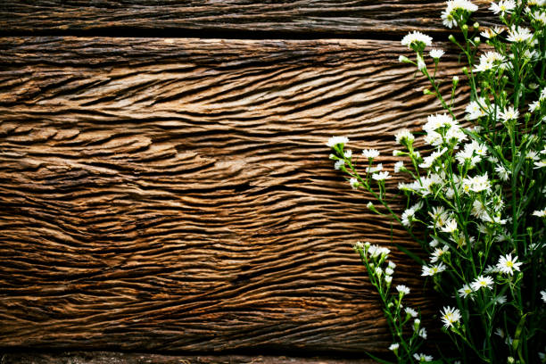 Still life with little white flowers on wood