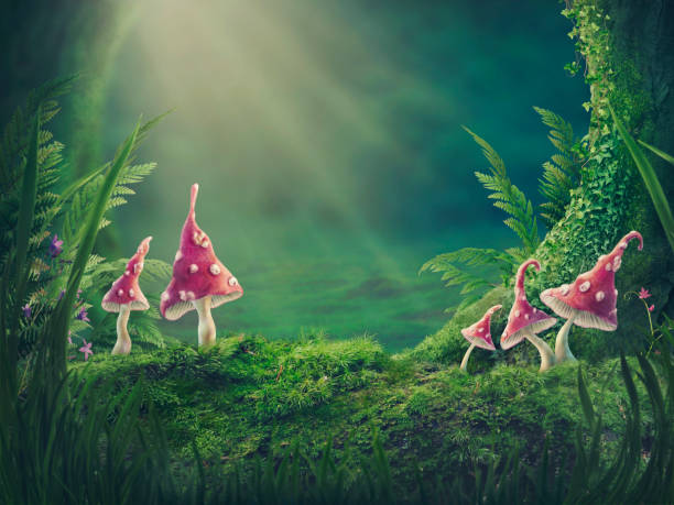 magischer waldhintergrund - moss toadstool fotos stock-fotos und bilder