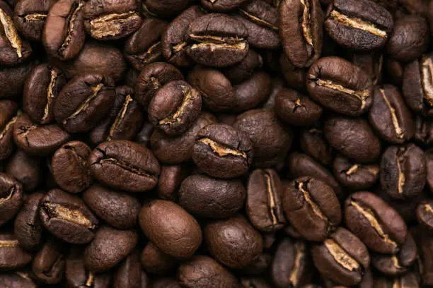 Brown roasted coffee beans. Closeup shot of coffee beans
