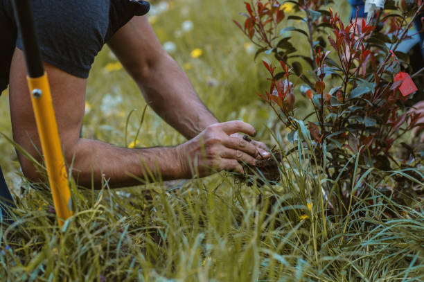 istock Man planting a garden 1314924543