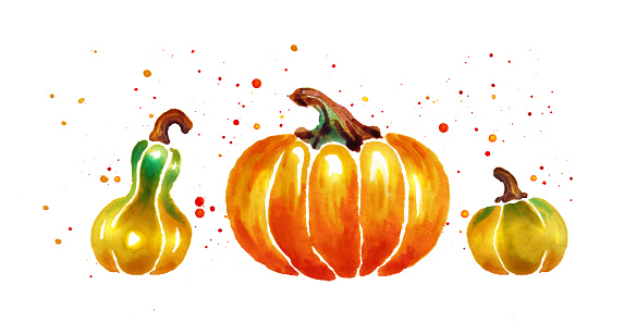 watercolor pumpkin isolated on white background, orange ripe vegetable for Halloween holiday, set of three pumpkins sketch by paints