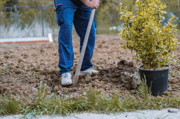 istock Man planting a garden 1314926467
