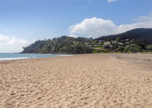 istock Coromandel in New Zealand 1314929634