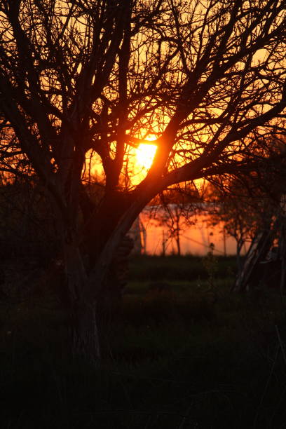 istock Beautiful sunset in village 1314931142