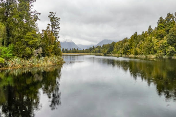 lago matheson in nuova zelanda - riparian forest foto e immagini stock