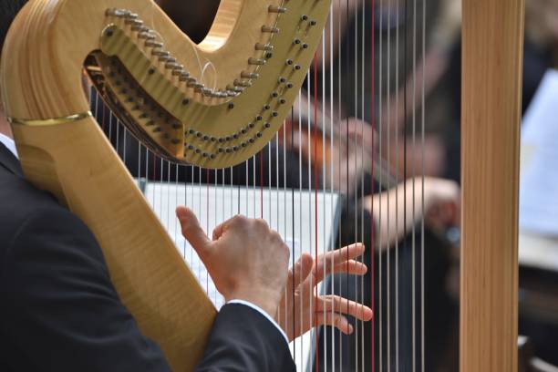 istock harp during the concert 1314932052