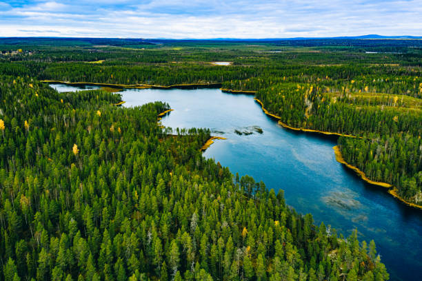 여름 핀란드의 녹색 숲과 푸른 호수와 강의 공중 보기 - karelia 뉴스 사진 이미지