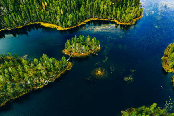 veduta aerea delle foreste verdi e dei laghi e fiumi blu in estate finlandia - karelia foto e immagini stock