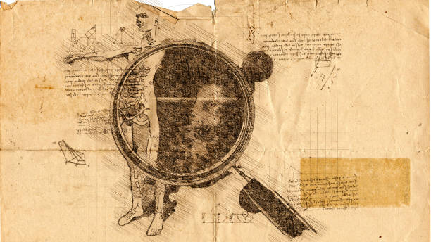 Anatomy of man under magnifying glass .Digital sketch representation. Anatomy of man under magnifying glass .Digital sketch representation. leonardo da vinci stock illustrations