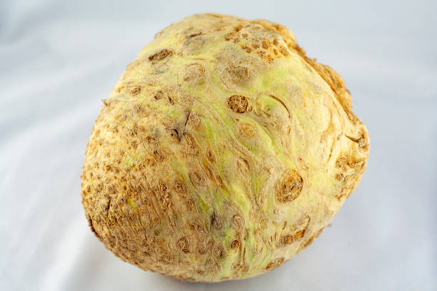 istock Celery root, fresh raw vegetable, healty diet plant, isolated object 1314944195