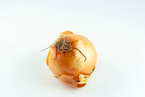 oignon doré cru frais avec l’oignonkin, le légume organique d’aliment, l’objet d’isolement - onionskin photos et images de collection