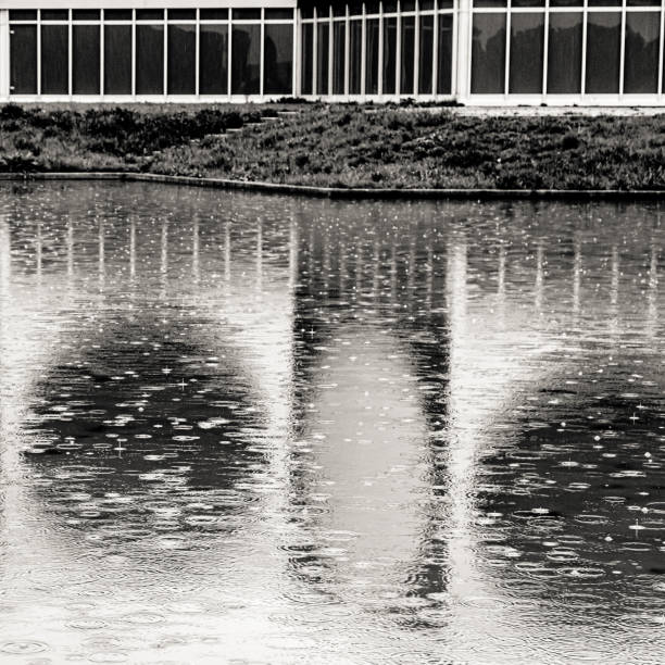 istock reflections in the rain, in black and white 1314945878