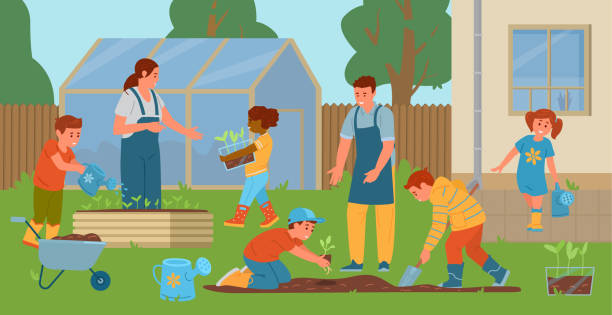 Teachers And Children Gardening In The Backyard Teachers And Children Gardening In The Backyard. Kids Planting Seedlings, Digging, Watering. School Garden With Greenhouse and Patches. Vector Illustration. garden stock illustrations