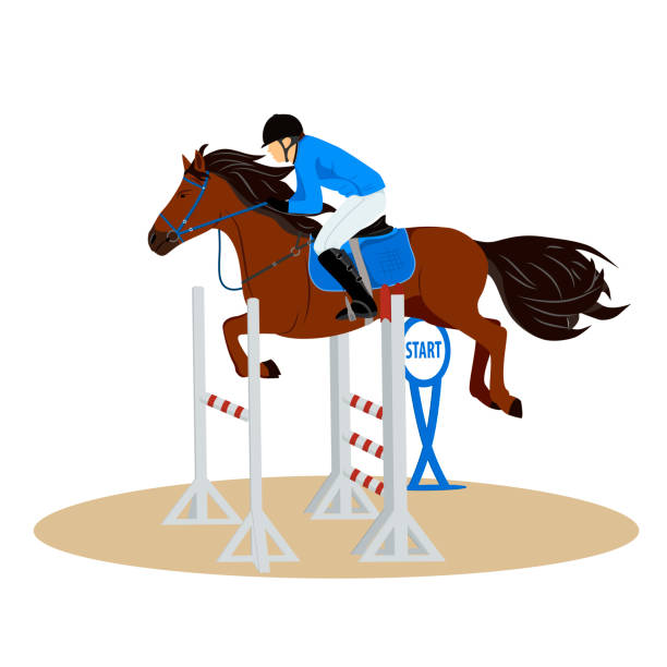 障壁を飛び越えるライダーを持つ馬。馬の上の騎手。乗馬。馬術スポーツ。分離ベクトルの図 - 障害馬術点のイラスト素材／クリップアート素材／マンガ素材／アイコン素材