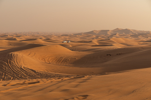 Desert safari tour in UAE. Four wheel drive desert safari car driving in desert sands panorama