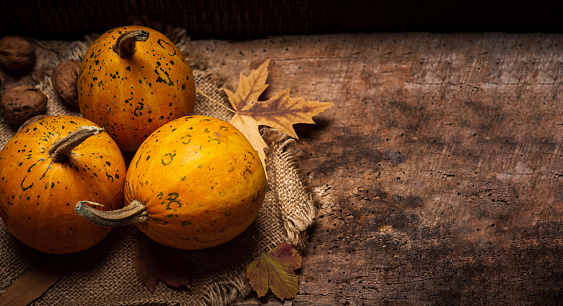 Pumpkins on a rustic wooden background. Autumn holidays abstract with copy space