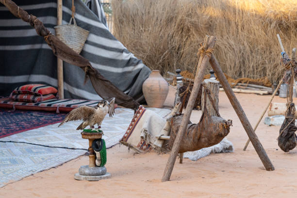 istock Falcon at Arab Bedouin camp 1314954467