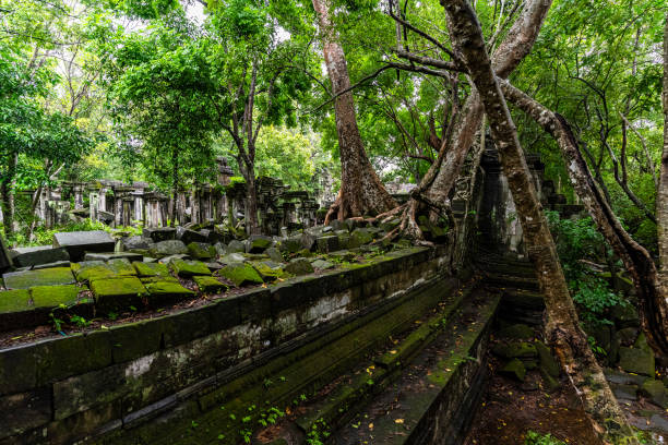 istock Beng Mealea Temple a Cambodia 1314954601