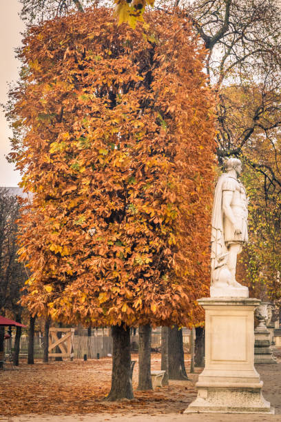 istock Orange leaves during an autumn day in paris 1314954815