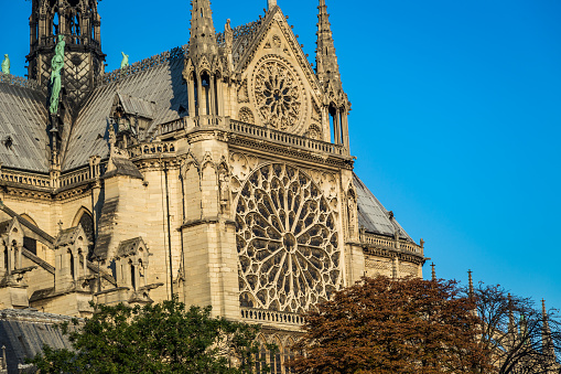 Notre Dame de Paris Cathedral during Autumn in Paris