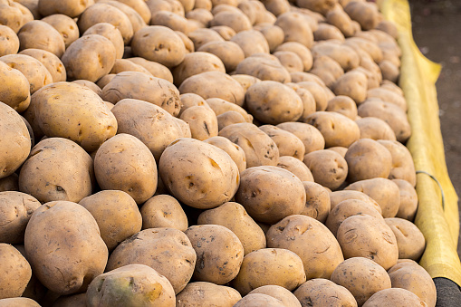 Potatoes close up shot, lots of organic indian potatoes in market