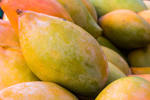 Bunch of rip fresh indian mangoes, closeup,  background,