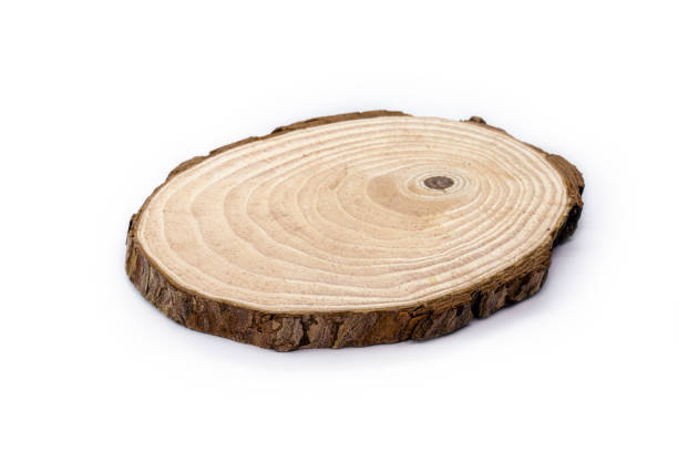 istock trunk ring, handmade plaque made of tree, decorative use in kitchens and homes 1314957898