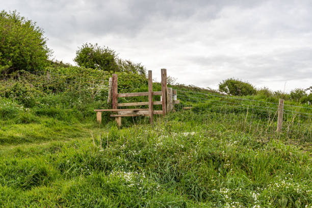 istock Eype near West Bay, Dorset 1314958610