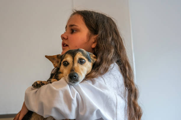 istock Thirteen year old girl with pet terrier dog 1314959394