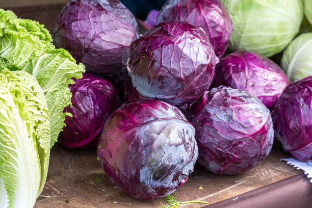 Fresh red cabbage of new harvest Fresh red cabbage of new harvest ready to sale at the local farmers market red cabbage stock pictures, royalty-free photos & images