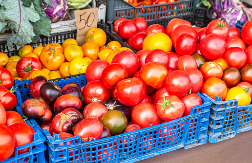 Fresh various tomatoes vegetables ready to sale at the farmers market