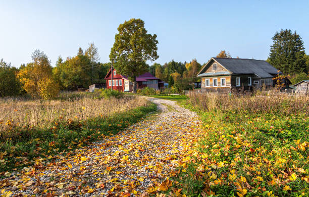 istock Typical small village in central Russia in sunny day 1314962502