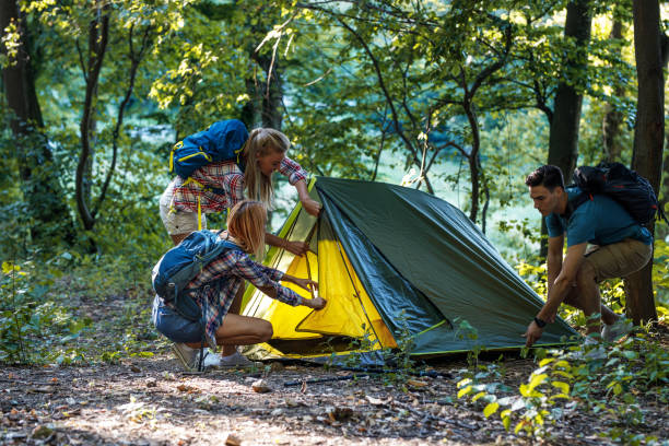 istock Young group of hikers assembling tent in camp area. 1314963184