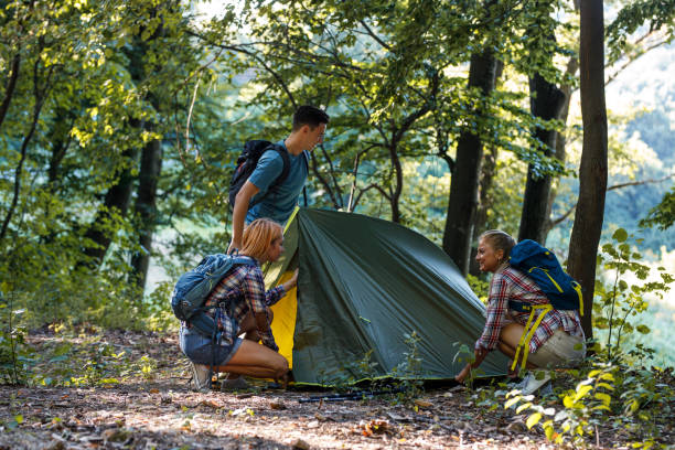 istock Young group of hikers assembling tent in camp area. 1314963186