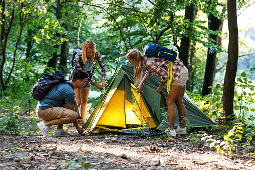 Young group of hikers assembling tent in camp area.